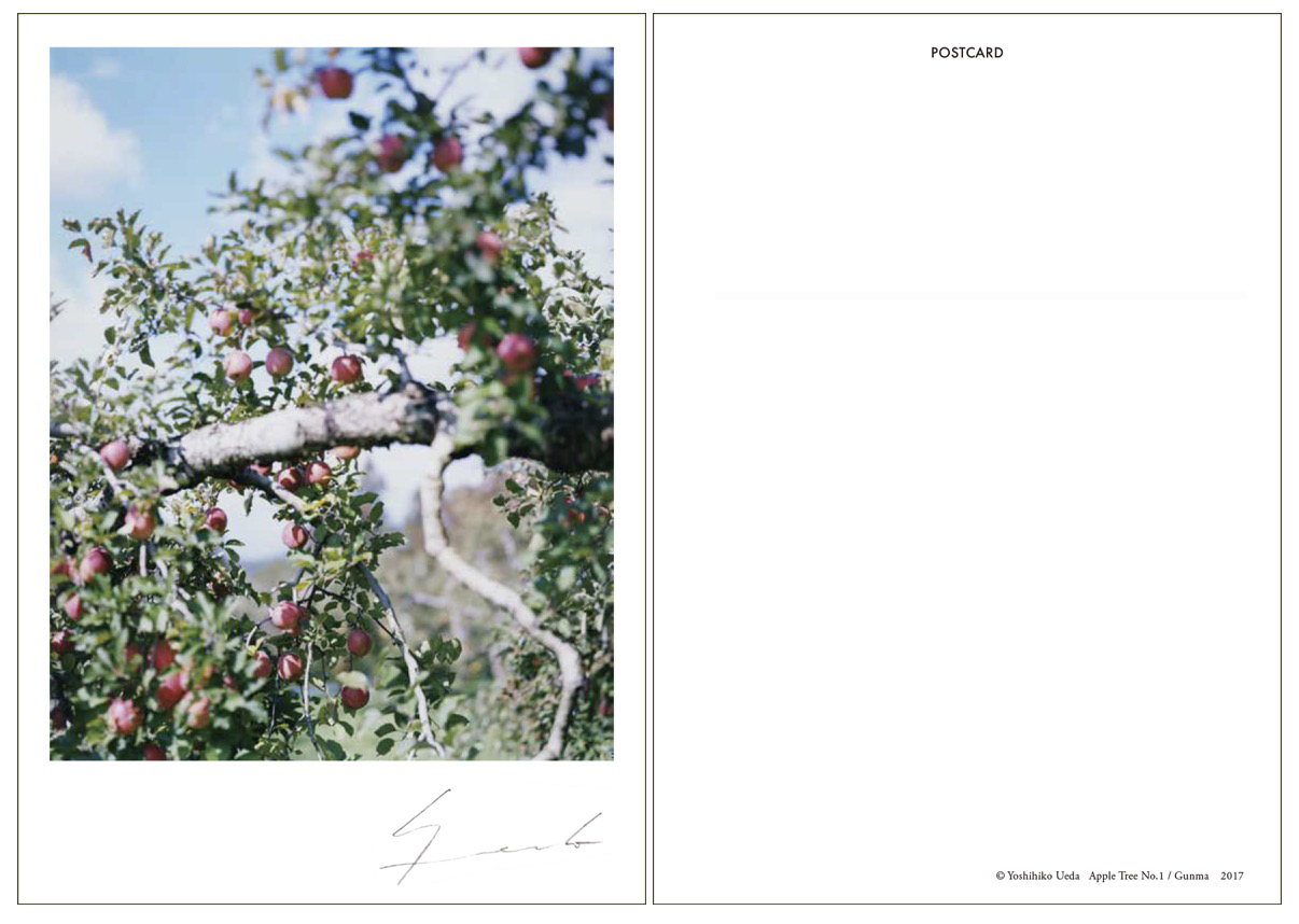 特典Postcard02.jpg