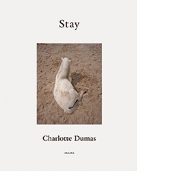bk-dumas-stay-02.jpg