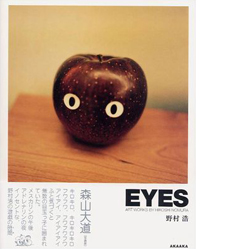 bk-nomura-eyes-02.jpg