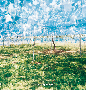 dance_small.jpgのサムネール画像